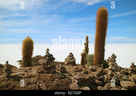 Riesige Kakteen und Cairn Steine auf der Isla Incahuasi gegen die immense Uyuni Salzebenen, Bolivien, Südamerika Stockfoto