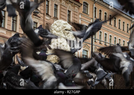 Löwen auf Lion Brücke in St. Petersburg Stockfoto