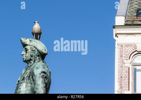 Möwe auf der Oberseite des Ludvig Holberg Statue in Vaagsalmenningen (Vågsalmenningen) Square, Downtown Bergen, Norwegen. Stockfoto