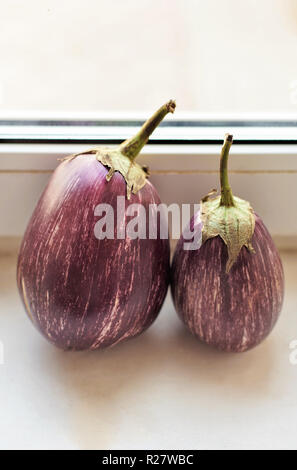Große lila mit weißen Streifen der Aubergine close-up Stockfoto