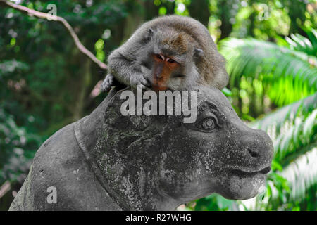 Monkey liegen auf der Statue in Monkey Forest in Bali, Indonesien Stockfoto