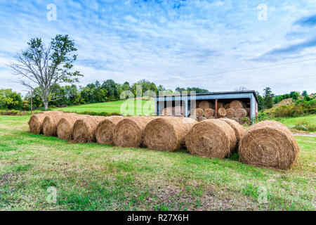 Horizontale Schuß aus einer Reihe von gerollt Heu Ballen bereit für den Winter. Es ist Halle mit Strohballen hinter Ihnen. Blau und bewölktem Himmel. Stockfoto