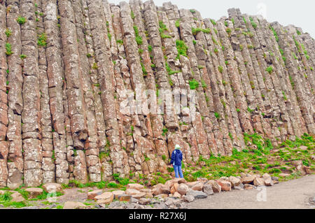 Person, die schaut auf eine Wand der Giant's Causeway in Nordirland Stockfoto