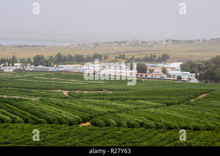 4. Mai 2018 die UN Military Base Camp Faouar in Syrien in der Nähe der israelischen Grenze als aus dem nördlichen Golanhöhen im Norden Osten Israel zu sehen. Stockfoto