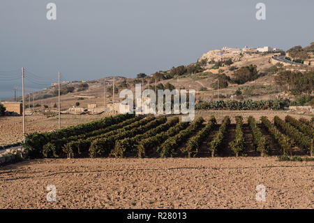 Schöne Sicht auf die Landschaft von Gozo, Malta Stockfoto