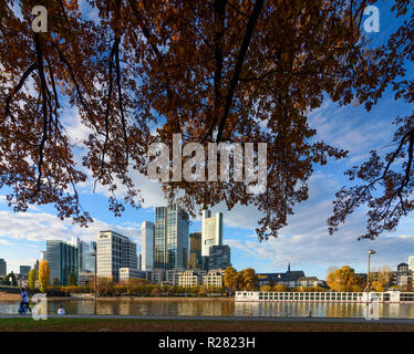 Frankfurt am Main: Main, Wolkenkratzer und Hochhäuser Bürogebäude im Financial District, Commerzbank Tower, Kreuzfahrtschiff, Hessen, Hesse, Ge Stockfoto