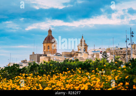 Blick auf St. Laurentius Kirche mit orangen Blüten in Il-Birgu, Malta Stockfoto