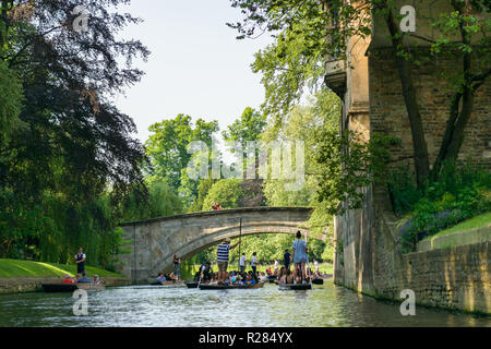 Mehrere punt Boote an einer viel befahrenen Strecke des Flusses Cam in der Nähe von King's College, Cambridge, Großbritannien Stockfoto