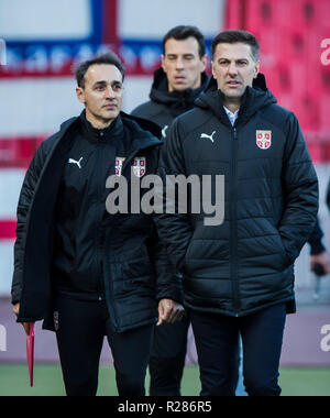 Rajko Mitic Stadion, Belgrad, Serbien. 17. November 2018. UEFA Nationen Liga Fußball, Serbien und Montenegro; Trainer Mladen Krstajic von Serbien eintrifft, um die Tonhöhe der Credit: Aktion plus Sport/Alamy Leben Nachrichten zu prüfen. Stockfoto