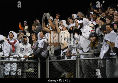 Damaskus, Maryland, USA, 16. November 2018. In der Nähe von Red Wing Fans feiern ihren Sieg während der Maryland Zustand 2A West regionale Meisterschaft in Damaskus. MD. Die Bären besiegt die Hornissen 24-7 und brach ihren 53 gewinnender Streifen, geglaubt, am längsten in der Geschichte der US-amerikanischen High School Fußball zu sein. Credit: Cal Sport Media/Alamy leben Nachrichten Stockfoto