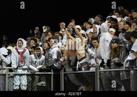 Damaskus, Maryland, USA, 16. November 2018. In der Nähe von Red Wing Fans feiern ihren Sieg während der Maryland Zustand 2A West regionale Meisterschaft in Damaskus. MD. Die Bären besiegt die Hornissen 24-7 und brach ihren 53 gewinnender Streifen, geglaubt, am längsten in der Geschichte der US-amerikanischen High School Fußball zu sein. Credit: Cal Sport Media/Alamy leben Nachrichten Stockfoto