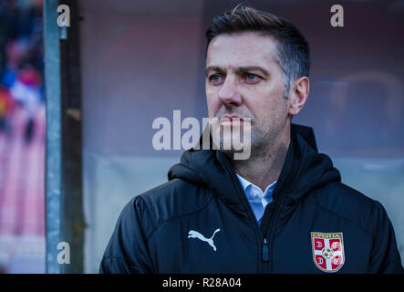 Belgrad, Serbien. 17. November 2018. Head Coach Mladen Krstajic von Serbien Credit: Nikola Krstic/Alamy leben Nachrichten Stockfoto