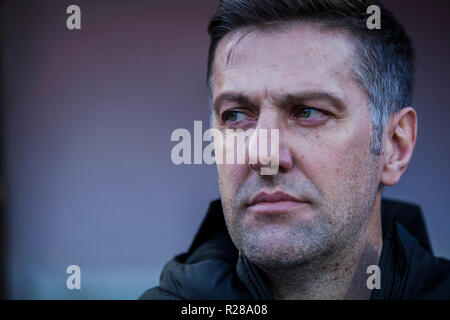 Belgrad, Serbien. 17. November 2018. Head Coach Mladen Krstajic von Serbien Credit: Nikola Krstic/Alamy leben Nachrichten Stockfoto