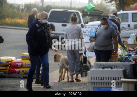 Chico, Kalifornien, USA. 17. Nov, 2018. Chico, Kalifornien, USA - ein stetiger Strom von Menschen kommen im Tierheim die Versorgung, die notwendig sind, um für die über 800 Tiere in der Obhut des Tierheims zu kümmern. Credit: Neal Gewässer/ZUMA Draht/Alamy leben Nachrichten Stockfoto