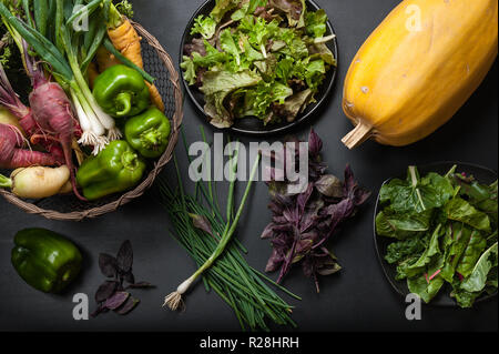 Frisches Gemüse einschließlich Winter Squash, Mangold, gemischtem grünen Salat, Paprika, Zwiebeln, Karotten, lila Basilikum und Schnittlauch auf schwarzem Hintergrund. Stockfoto