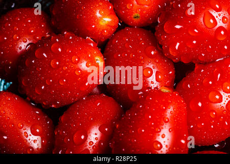 Eine gestochen scharfe und lebendige Auswahl von Cherry Tomaten in einem Makro geschossen in Wassertropfen bedeckt Stockfoto