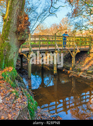Pooh Sticks Brücke Ashdown Forest. Stockfoto