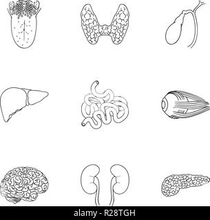 Menschliche Organe set Symbole in der gliederungsansicht Design. Große Sammlung von menschlichen Organen vektor Symbol lieferbar Abbildung: Stock Vektor