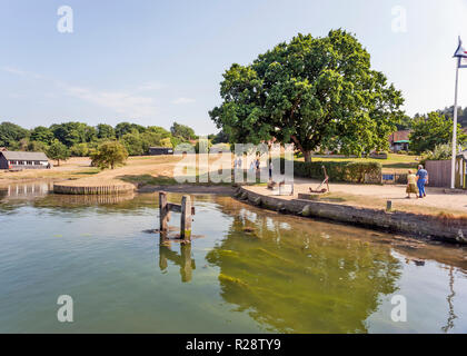 Beaulieu River Blick auf's Schild Hart, Hampshire, England, UK. Stockfoto