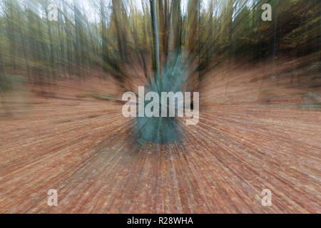 Menhire in den Wäldern, Tschechische Republik Stockfoto