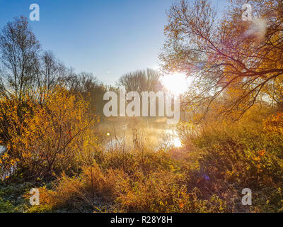 Farbige Buchsen in der Front, Wasser der blaue Himmel und die Sonne im Rücken Stockfoto