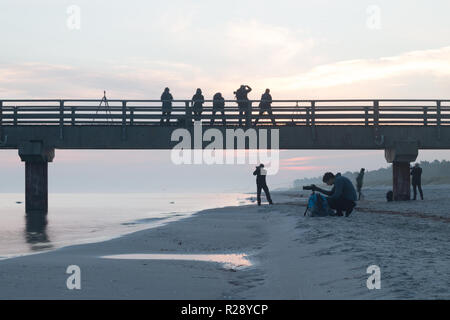 Prerow, Deutschland - Oktober 10, 2018: Blick von Fotografen fotografieren der Sonnenaufgang am Strand von Prerow an der Ostsee, Deutschland. Stockfoto