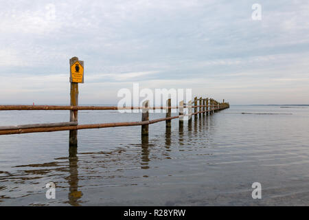 Blick über den Zaun in den Nationalpark Vorpommersche Boddenlandschaft in der Nähe von Prerow an der Ostsee. Stockfoto