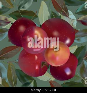 Rote Äpfel am grünen Vektor Stock Vektor