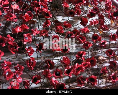 Nahaufnahme der keramischen Mohnblumen cascading auf den Boden unter den gefallenen Blätter im Herbst, im Imperial War Museum nach Erinnerung Sonntag, 2018 Stockfoto