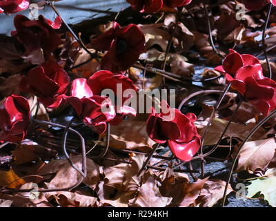 Nahaufnahme der keramischen Mohnblumen cascading auf den Boden unter den gefallenen Blätter im Herbst, im Imperial War Museum nach Erinnerung Sonntag, 2018 Stockfoto