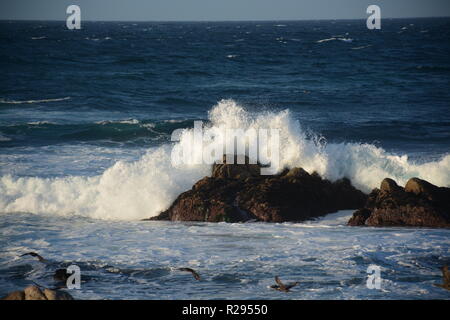 Monterey, Kalifornien. Nachmittag Wellen. Stockfoto