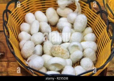 Seidenraupenkokons in einem Korb, für den Prozess der Herstellung seidenen Faden von Hand in einer Fabrik in Peking, China bereit Stockfoto