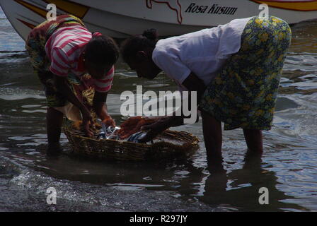 Frauen Sortieren einen Fisch fangen, Chilaw, Sri Lanka Stockfoto