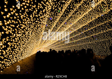 Der Tunnel des Lichts in Nabana keine Sato Garten in der Nacht im Winter, Mie, Japan Stockfoto