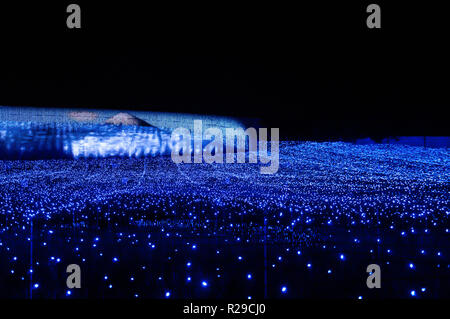 Das Meer von Licht in Nabana keine Sato Garten in der Nacht im Winter, Nagano, Japan Stockfoto