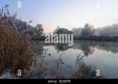 Nationalpark Donauauen Danube-Auen National Park: altarm an Danube-Auen National Park, in der Nähe der Lobau Dorf Schönau an der Donau in die Donau, Stockfoto