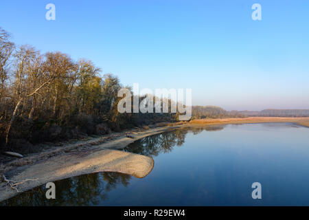 Wien, Wien: altarm Kühwörter Wasser bei Danube-Auen National Park, Bereich Lobau im 22. Donaustadt, Wien, Österreich Stockfoto