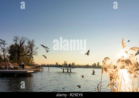 Wien, Wien: altarm Alte Donau (Alte Donau), Leute an der Promenade am Seeufer, fliegende Möwen im 22. Donaustadt, Wien, Österreich Stockfoto