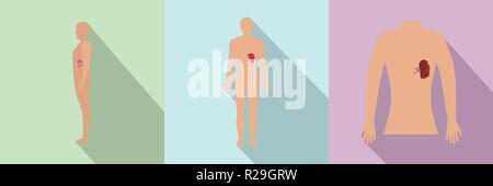 Milz milt der menschlichen Anatomie Symbole gesetzt. Flache Darstellung von 3 Milz milt der menschlichen Anatomie Vector Icons für Web Stock Vektor