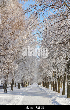 Snowy Wanderweg im Winter Park Alley auf sonnigen Tag Hintergrund Stockfoto