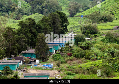 Unterkunft der Arbeitnehmer auf dem Sungai Palas Boh Teeplantagen in den Cameron Highlands, Malaysia. - Das Beste von Highland (BOH) Tee Plantage bei Sungai Palas, Stockfoto