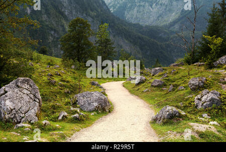 Pfad zwischen Obersee und Konisee See in Deutschland Naturpark im Sommer Stockfoto