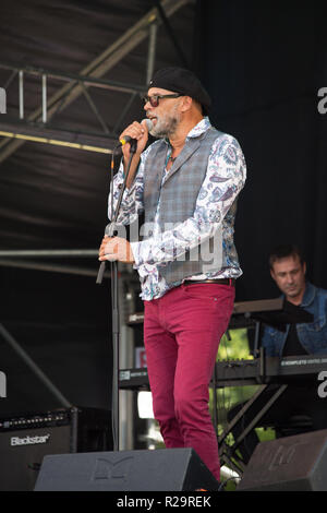 Kneipe im Park Festival, Badewanne Stockfoto