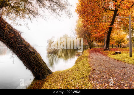 Ticino in einer nebligen Landschaft mit farbigen Bäume auf der rechten Seite im Herbst Jahreszeit, Sesto Calende - Varese Stockfoto