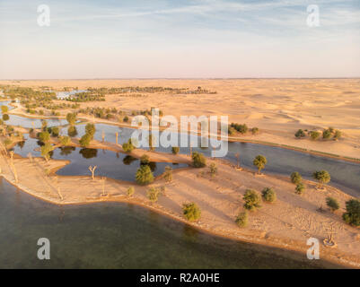 Luftaufnahme von Al Qudra Seen in einer Wüste in Dubai Stockfoto