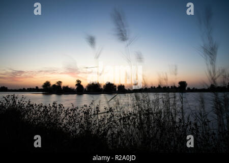 Sunraise im Al Qudra See finden, in der Nähe von Dubai Stockfoto