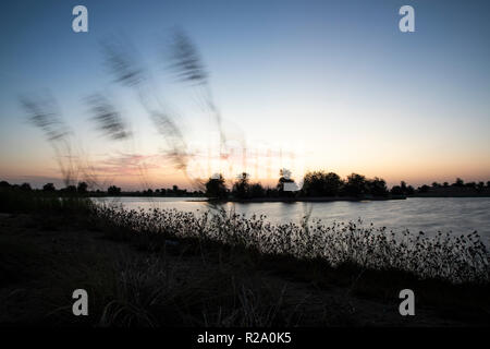 Sunraise im Al Qudra See finden, in der Nähe von Dubai Stockfoto