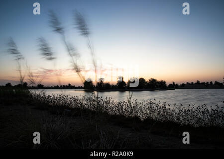 Sunraise im Al Qudra See finden, in der Nähe von Dubai Stockfoto