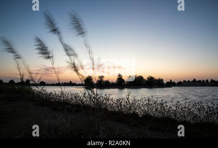 Sunraise im Al Qudra See finden, in der Nähe von Dubai Stockfoto