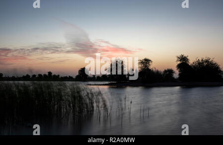 Sunraise im Al Qudra See finden, in der Nähe von Dubai Stockfoto